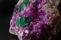 Vibrant pink Cobalto calcite with deep green Malachite mineral