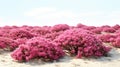 Vibrant Pink Desert Shrubs In Hyperrealistic Dutch Landscape - Mesmerizing Optical Illusions