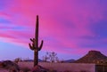 Desert Sunset Sky With Lone Saguaro Royalty Free Stock Photo