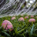 A vibrant pink Easter egg nestled in green grass, with a net softly blurred in the background. Royalty Free Stock Photo