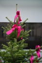 Vibrant Pink Fabric Ribbons on Conifer Tree Tip Against Brown Beige Wall