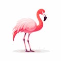 Vibrant Pink Flamingo Illustration On White Background