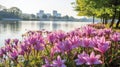 Vibrant Pink Flowers Along The River: Nikon D850 Uhd Image Royalty Free Stock Photo