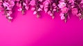 Vibrant Pink Flowers On Monochromatic Background - High-energy Imagery