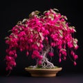 Vibrant Pink Fuchsia Bonsai With Detailed Petals - Vignette Style