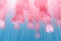 Vibrant pink fuzz jellyfish in various hues, captivating abstract detail in artistic creation Royalty Free Stock Photo