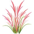 Vibrant Pink and Green Vector Grass Pattern for Decorative Designs Royalty Free Stock Photo
