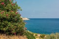 Vibrant pink Nerium oleander flowers with sea and Sliema in the background Royalty Free Stock Photo