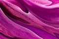 Vibrant pink net background Royalty Free Stock Photo