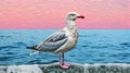 Seagull Collage Pop Art Photorealistic 8k Image With Risograph Ra 8400 Texture