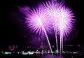 Vibrant pink and purple fireworks splashing in the night sky over the city