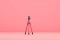 stylish pink tripod centered in pastel studio with modern minimal aesthetic and soft monochrome backdrop Royalty Free Stock Photo