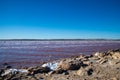 Vibrant Pink Waters of Torrevieja Salt Lake, Spain Royalty Free Stock Photo