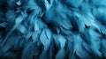 A close up of feathers background