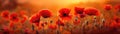 Vibrant Poppy Field Against A Softly Blurred Sunset Banner Background. Generative AI