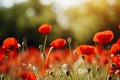 Vibrant poppy flowers creating a narrative on soft bokeh background with ample text space