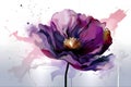 Vibrant poppy infusion, a dynamic background filled with color