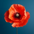 Vibrant Poppy: A Stunning Symmetrical Arrangement In Mike Campau\'s Style