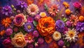 A vibrant profusion of colorful blossoms arranged in a captivating floral composition, showcasing a diverse array of petals and Royalty Free Stock Photo