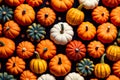 Vibrant Pumpkin Palette: Colorful Harvest Delights