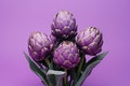 Vibrant Purple Artichokes on Colorful Background AI Generated