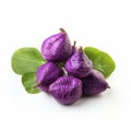 Vibrant Purple Aubergine Fruits - Traditional Vietnamese Oshare Kei Style