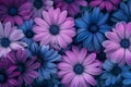 Vibrant Purple and Blue Flowers in a Bunch
