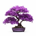 Vibrant Purple Bonsai Tree: A Captivating Contest Winner