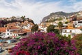 Vibrant purple Bougainvillea flower with scenic view of idyllic port of Camara de Lobos on Madeira island, Portugal, Europe Royalty Free Stock Photo