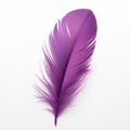Vibrant purple feather displayed on a white background showcasing its delicate structure Royalty Free Stock Photo