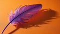 Vibrant purple feather lies on textured orange surface, casting long, abstract shadow. Simple composition highlights feather Royalty Free Stock Photo