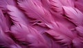 Vibrant purple feather texture background with intricate bird feathers in digital art