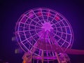 Vibrant purple Ferris wheel illuminated by lights in a bustling fairground
