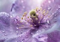 Vibrant Purple Flower Closeup