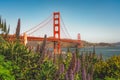 Springtime brings a floral spectacle to the iconic Golden Gate Bridge