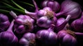 vibrant purple garlic