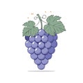 Vibrant purple grape cluster illustration with green leaves and subtle highlights Royalty Free Stock Photo