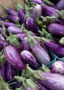 Vibrant Purple Japanese Eggplants at a Farmers Market