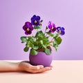 Vibrant Purple Pansies: A Minimalistic Still Life Inspired By Patricia Piccinini