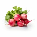 Vibrant Radishes Arranged In Bold Lines On White Surface