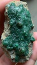 Vibrant raw emerald in host rock with green crystals earthy patterns Royalty Free Stock Photo