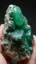 Vibrant raw emerald in host rock with green crystals earthy patterns Royalty Free Stock Photo