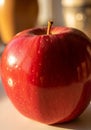 A vibrant red apple with a glossy surface sits in soft, natural lighting. The apple is Royalty Free Stock Photo