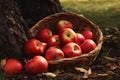 Vibrant red apples basket. Generate Ai Royalty Free Stock Photo