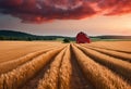 Vibrant red barn standing alone in a vast expanse of golden cornfields at sunset, AI-generated.