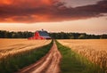 Vibrant red barn standing alone in a vast expanse of golden cornfields at sunset, AI-generated.