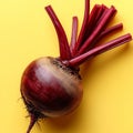 Vibrant Red Beetroot With Long Stalks and Leaves, Isolated Against a Bold Yellow Backdrop. Royalty Free Stock Photo