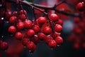 Vibrant Red berries branch fall ripe. Generate Ai Royalty Free Stock Photo