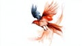 Vibrant red bird in flight with dynamic feather display on a white background