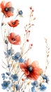 Vibrant red and blue flowers on white background, a creative arts masterpiece Royalty Free Stock Photo